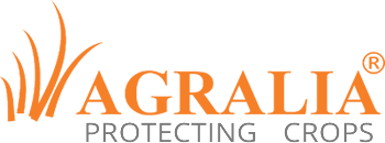AGRIFRESH PERU S.A.C