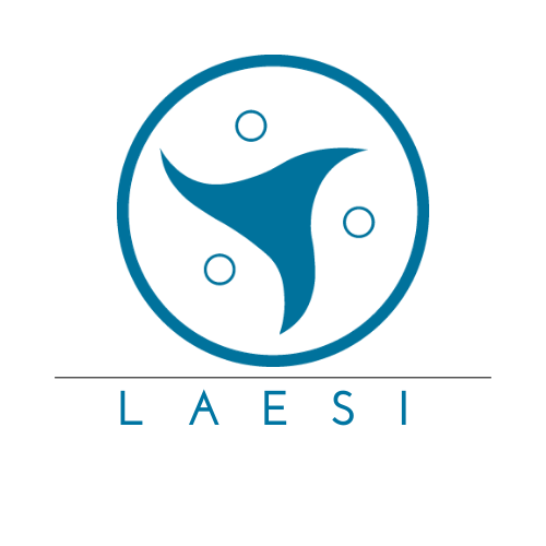 LIDERES EN ASESORIA EMPRESARIAL DE SISTEMAS INTEGRADOS S.A.C. - LAESI S.A.C.